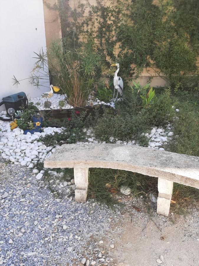 Chez Monique Et Remi Hotel Avignon Ngoại thất bức ảnh