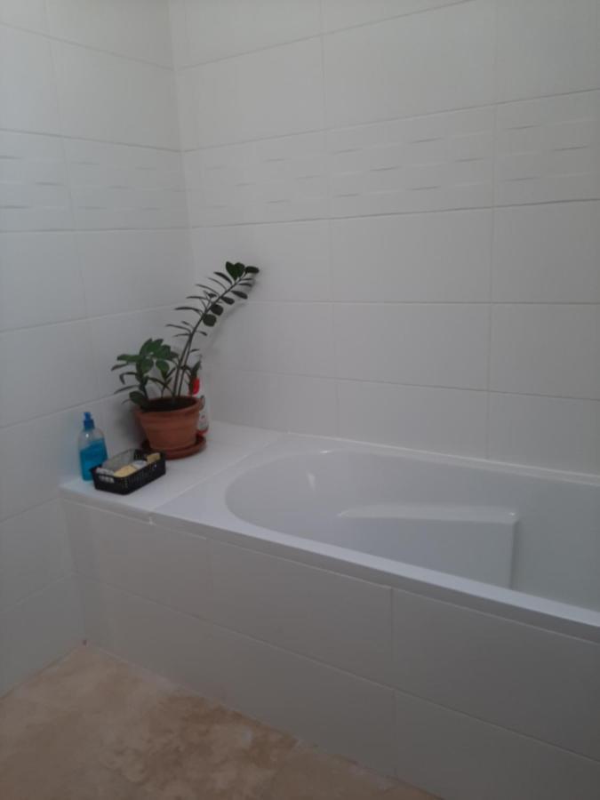 Chez Monique Et Remi Hotel Avignon Ngoại thất bức ảnh